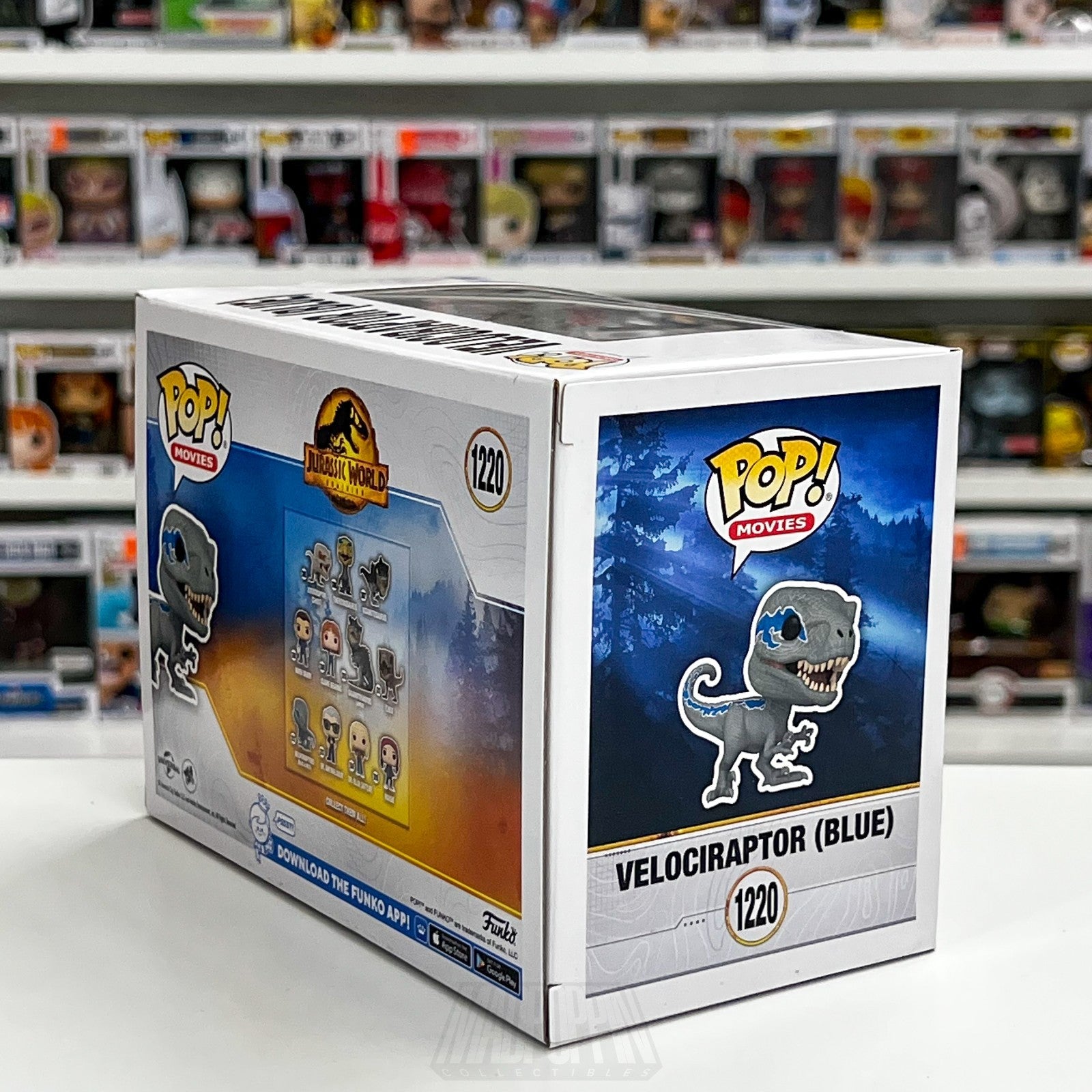 Funko Pop Movies Jurassic World Velociraptor Blue Exclusive 1220 Vinyl Figure4
