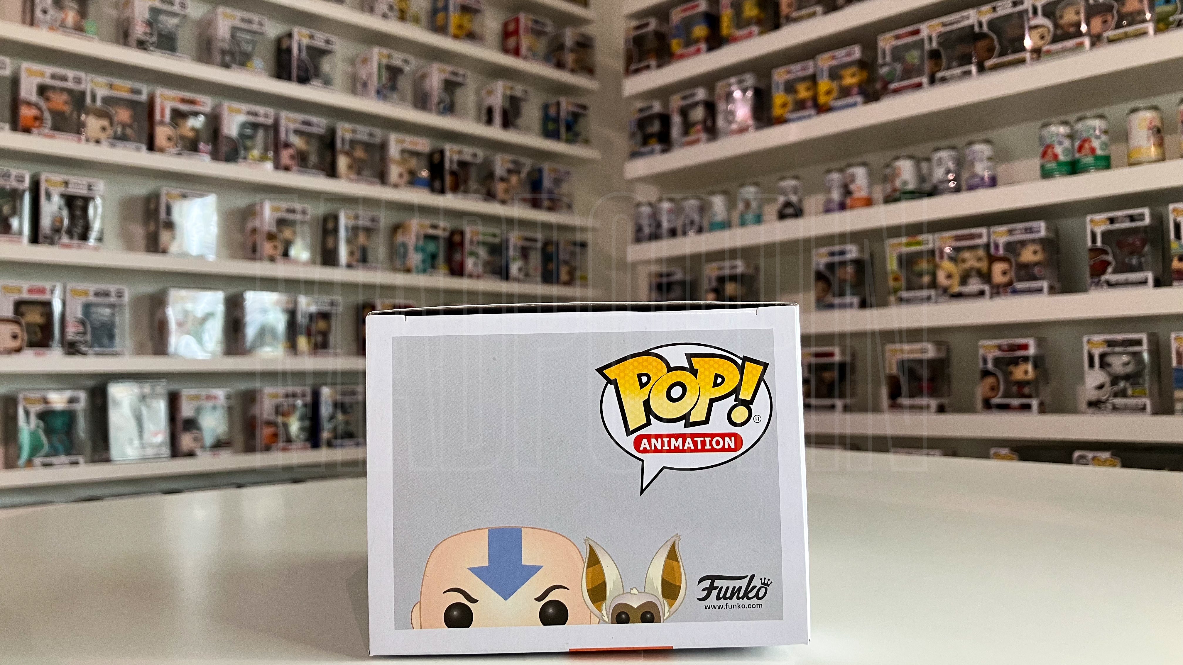 Funko Pop Anime Nickelodeon Avatar The Last Airbender Aang w/Momo 534