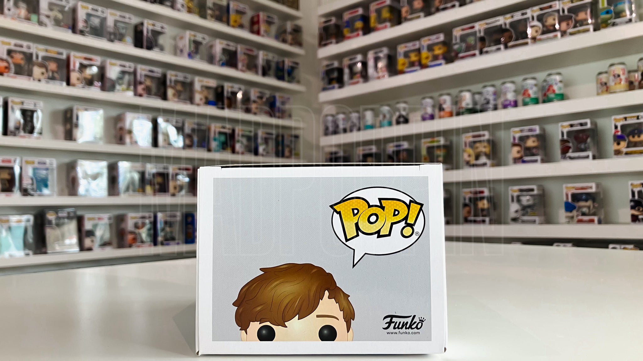 Funko Pop Fantastic Beasts The Crimes of Grindelwald Newt Scamander In Suitcase 23