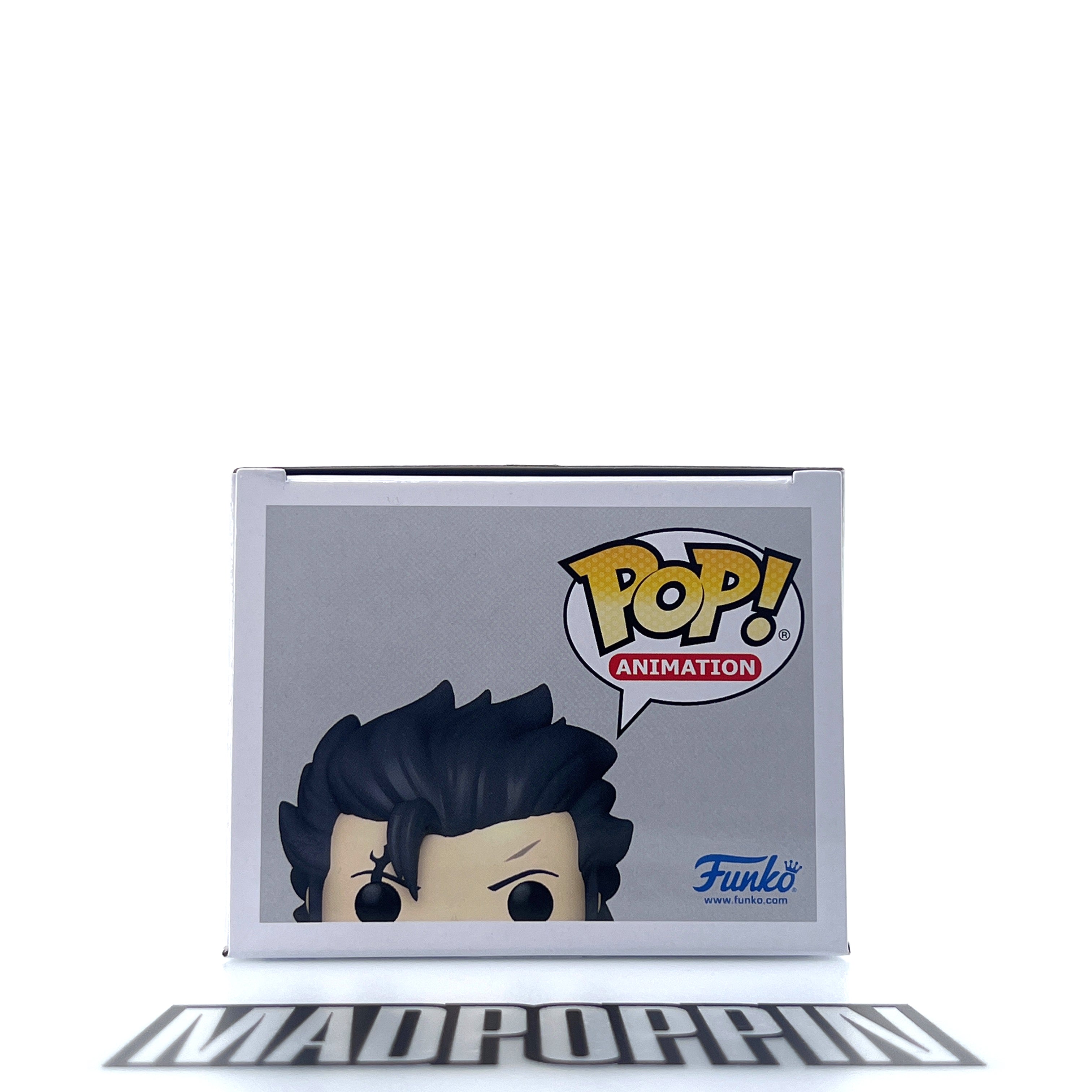 Funko Pop Anime Fairy Tail Gray Fullbuster FYE #1051
