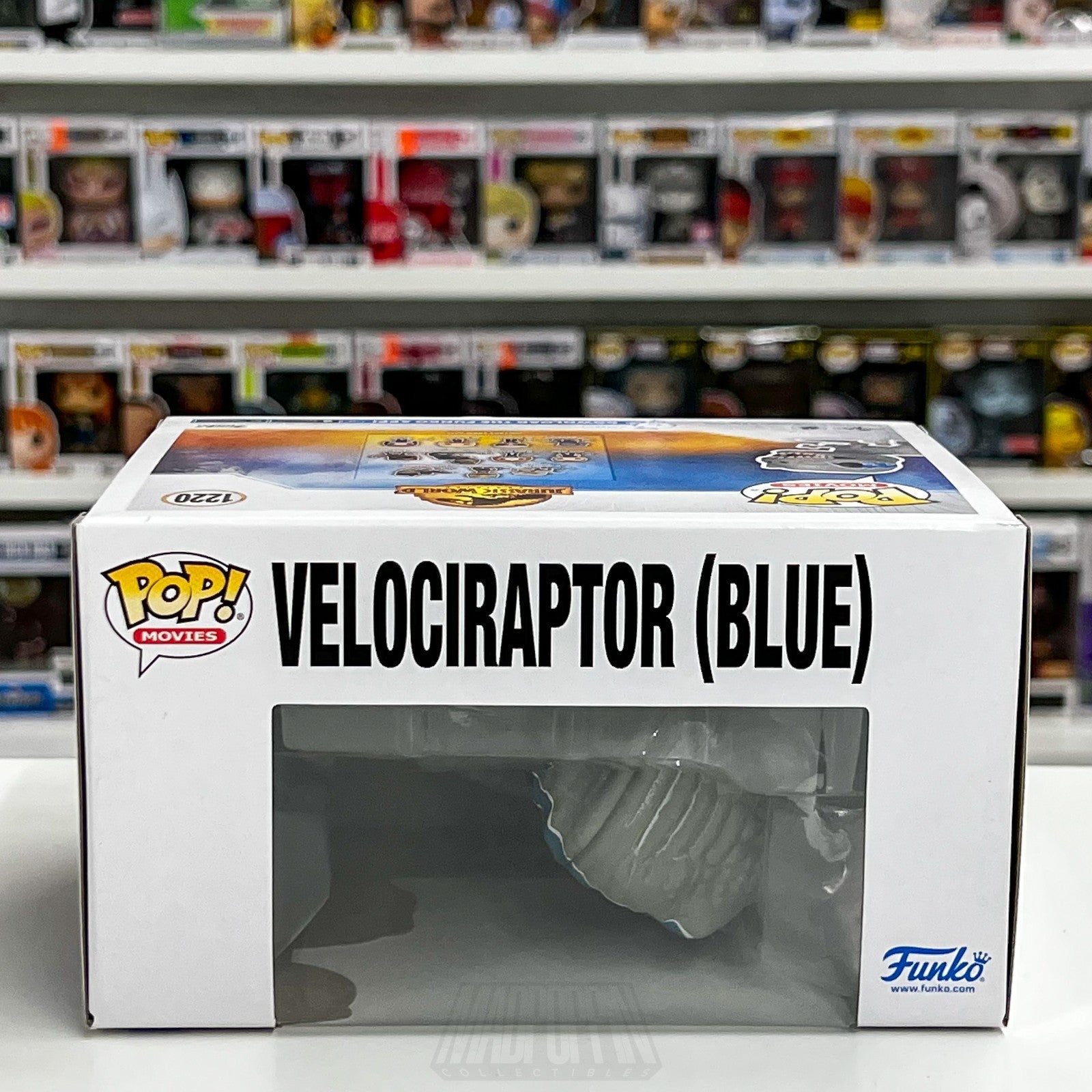 Funko Pop Movies Jurassic World Velociraptor Blue Exclusive 1220 Vinyl Figure6