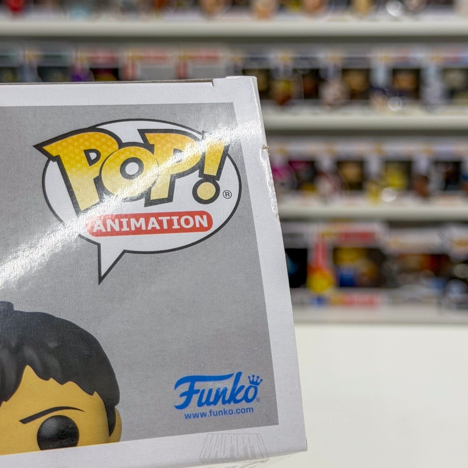 Funko Pop Anime Attack on Titan Bertholdt Hoover 1167 Japan Manga Vinyl Figure