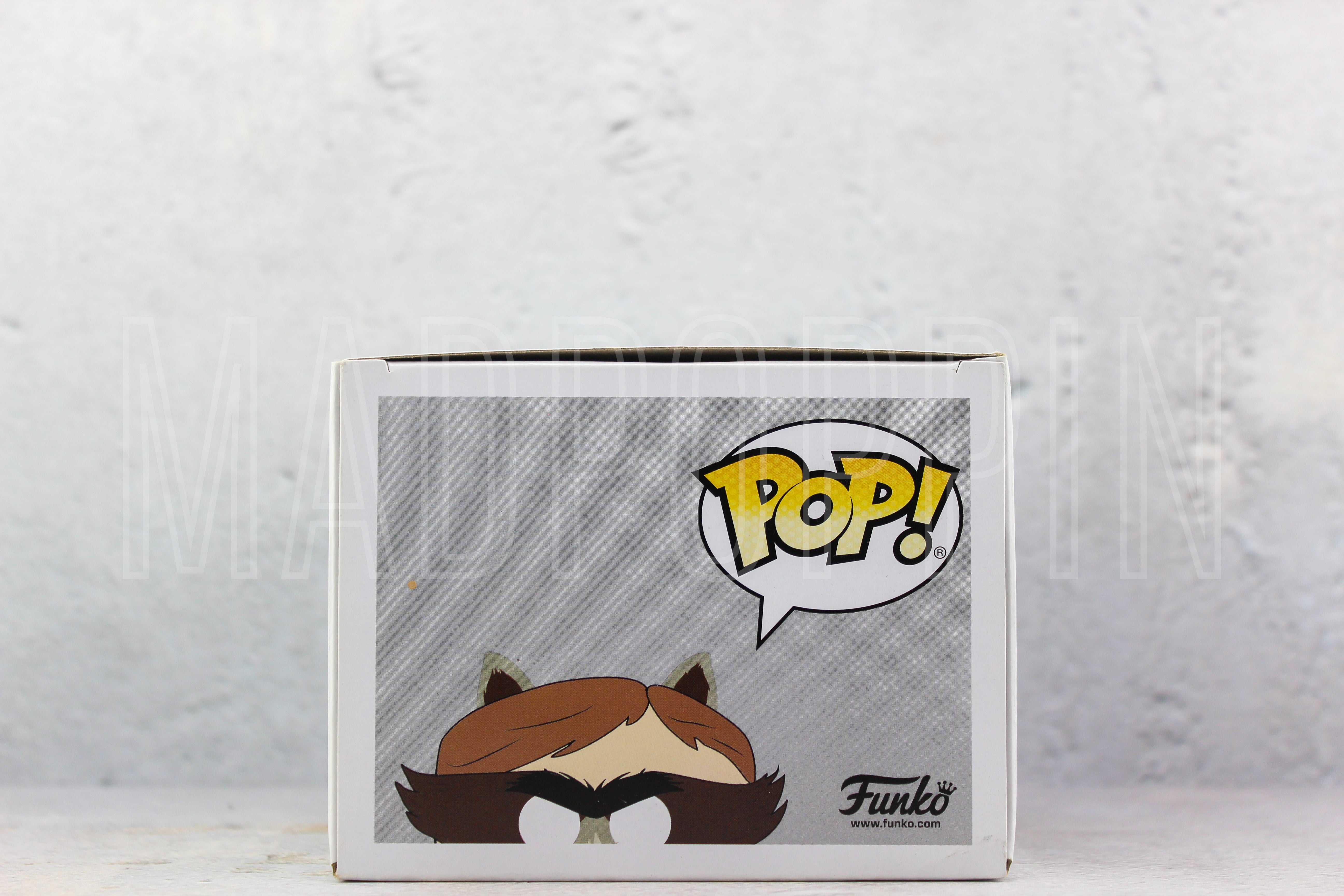 POP! Television: South Park - The Coon